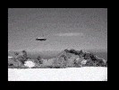 The Lassen Park Sightings